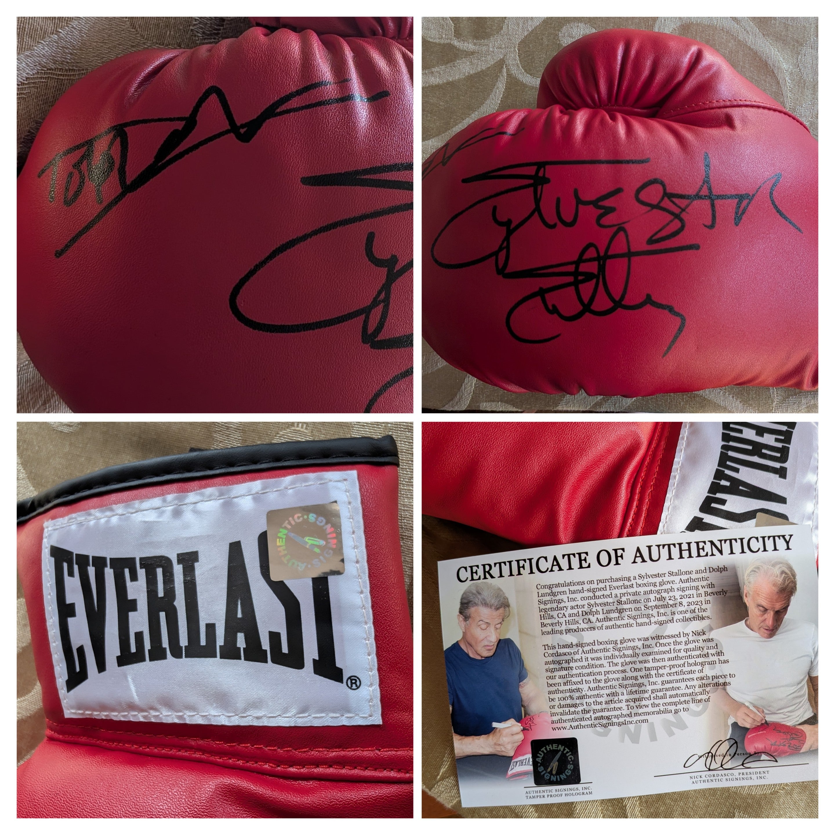 Sylvester Stallone & Dolph Lundgren Dual-Signed Everlast Boxing Glove – Authentic Signings Inc Certified