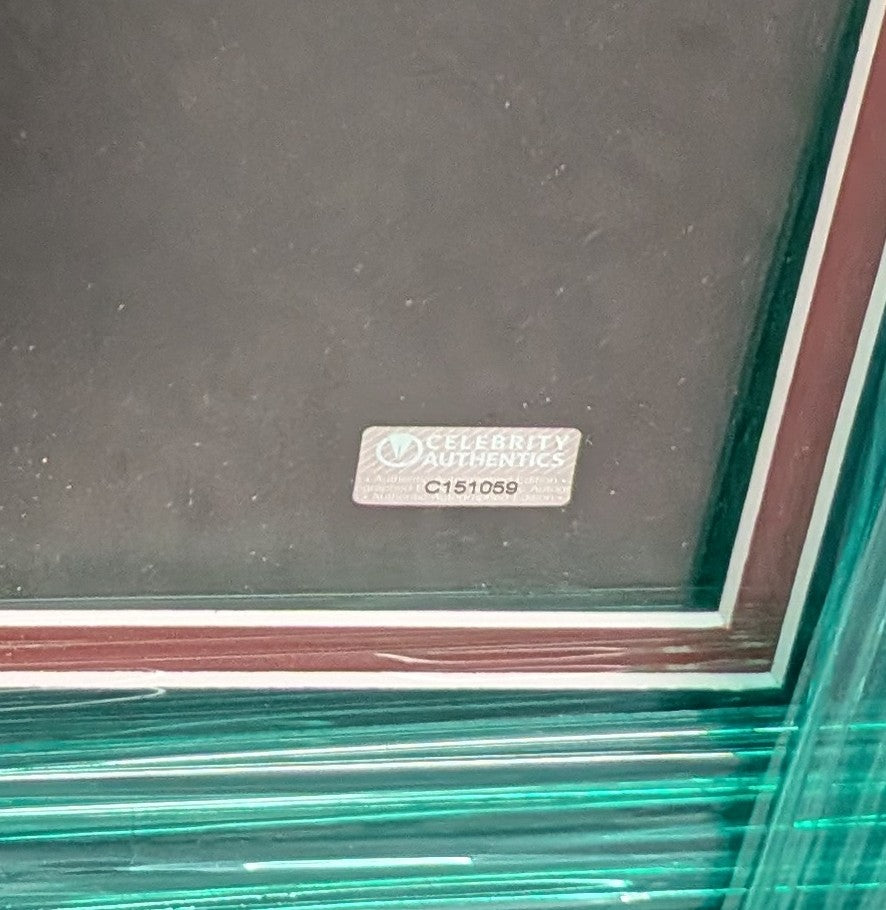 The Amazing Spider-Man: Andrew Garfield Signed 16x20 Custom Framed Display (Celebrity Authentics)