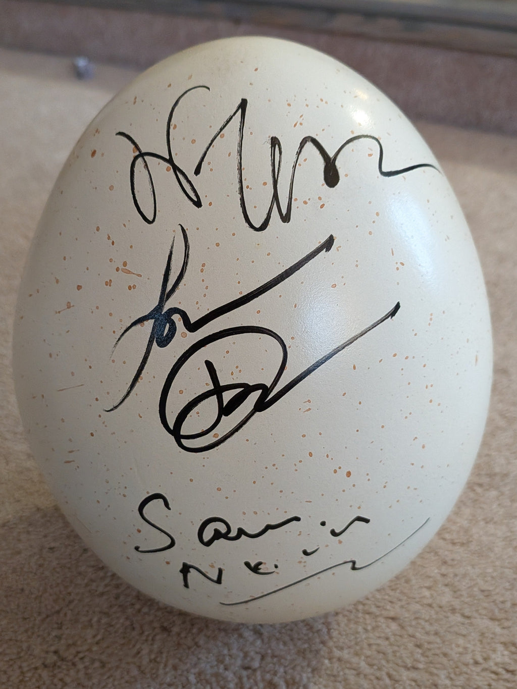 Sam Neill, Jeff Goldblum, Laura Dern Signed Jurassic Park Sauropod 9" Life Size Dinosaur Egg