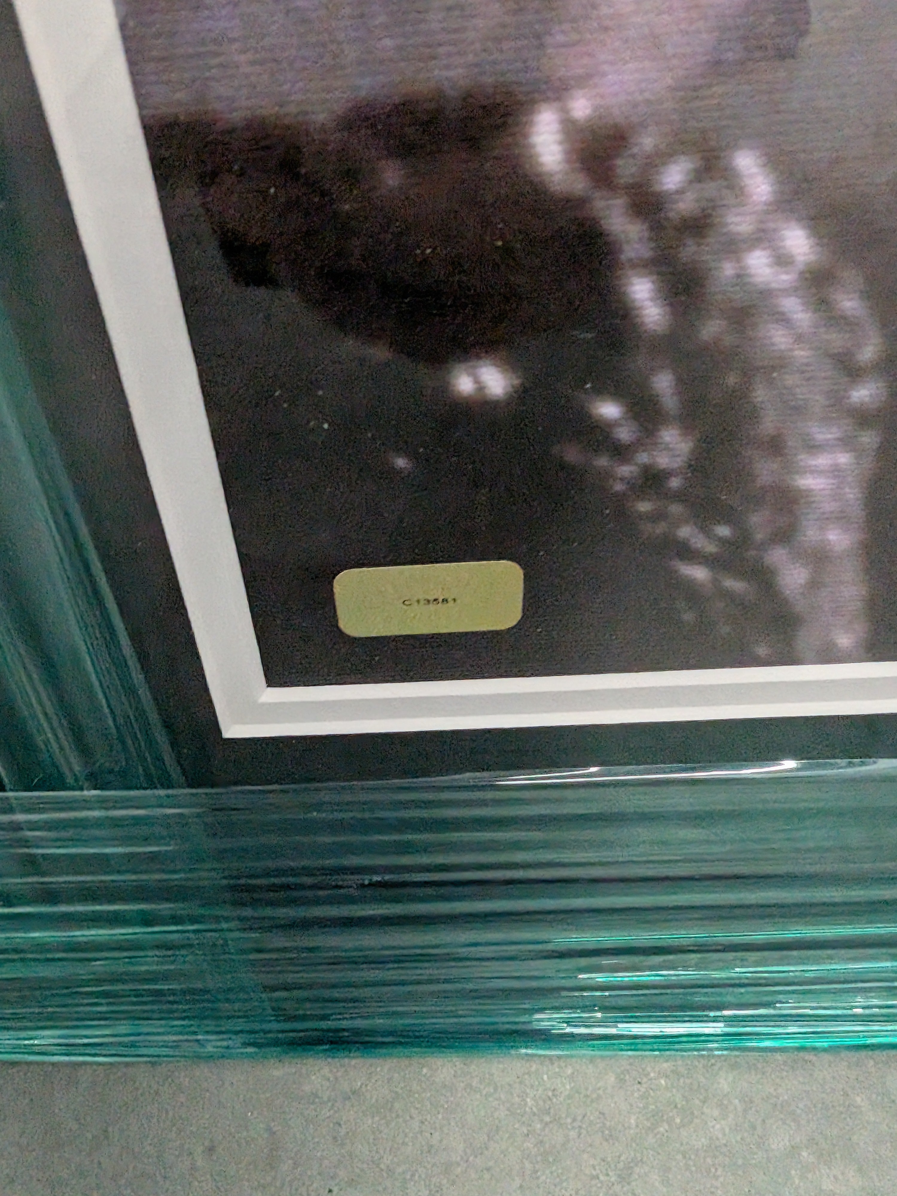 Aliens Limited Edition 16x20 Canvas Print — Sigourney Weaver “Ripley” Signed (#2 of 25 Worldwide)
