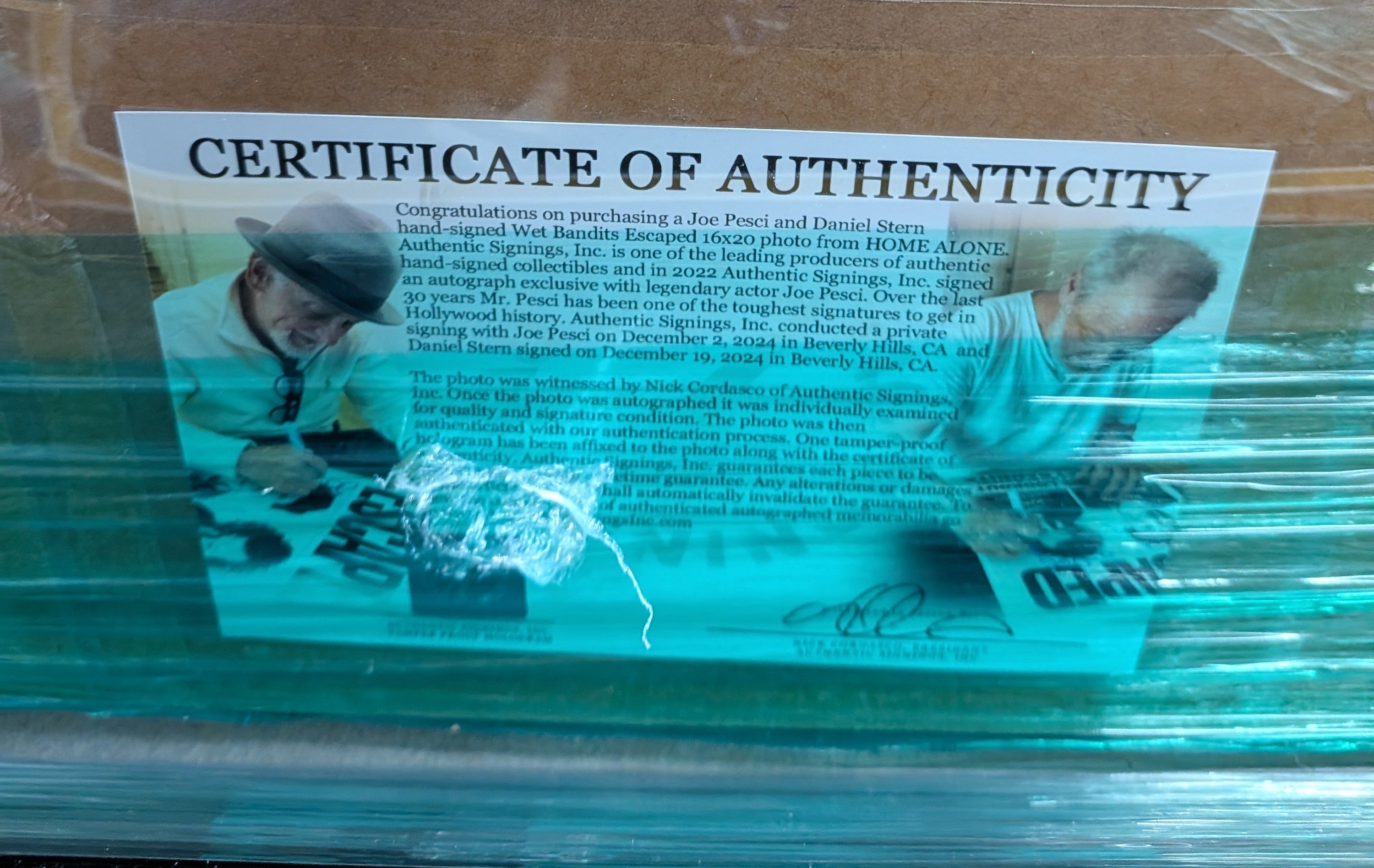 Home Alone Wet Bandits Dual-Signed 16x20 Photo – Joe Pesci & Daniel Stern | Museum-Grade Framed