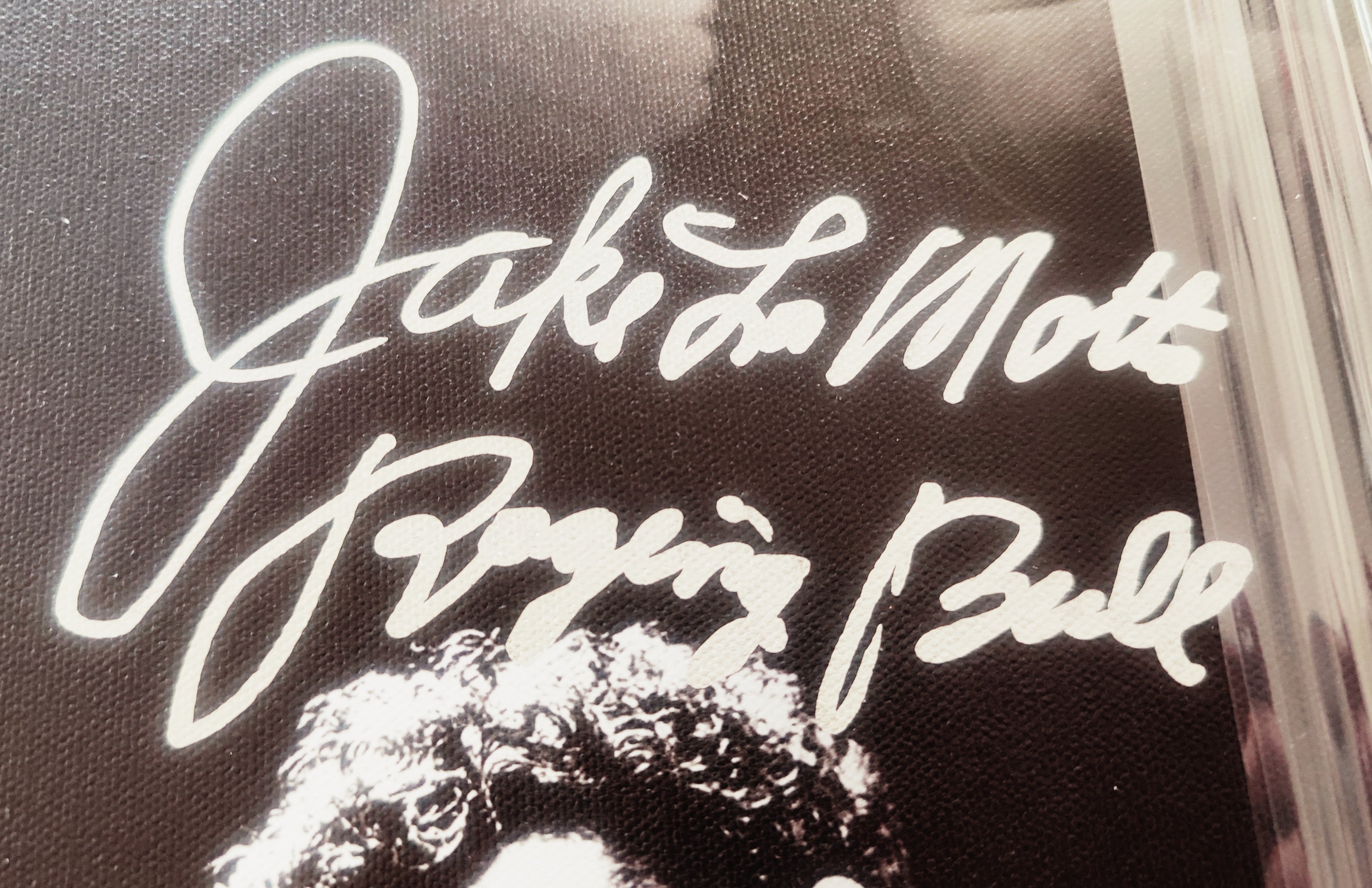 Robert De Niro & Jake LaMotta Dual-Signed Raging Bull 16×20 Framed Giclée #13/30