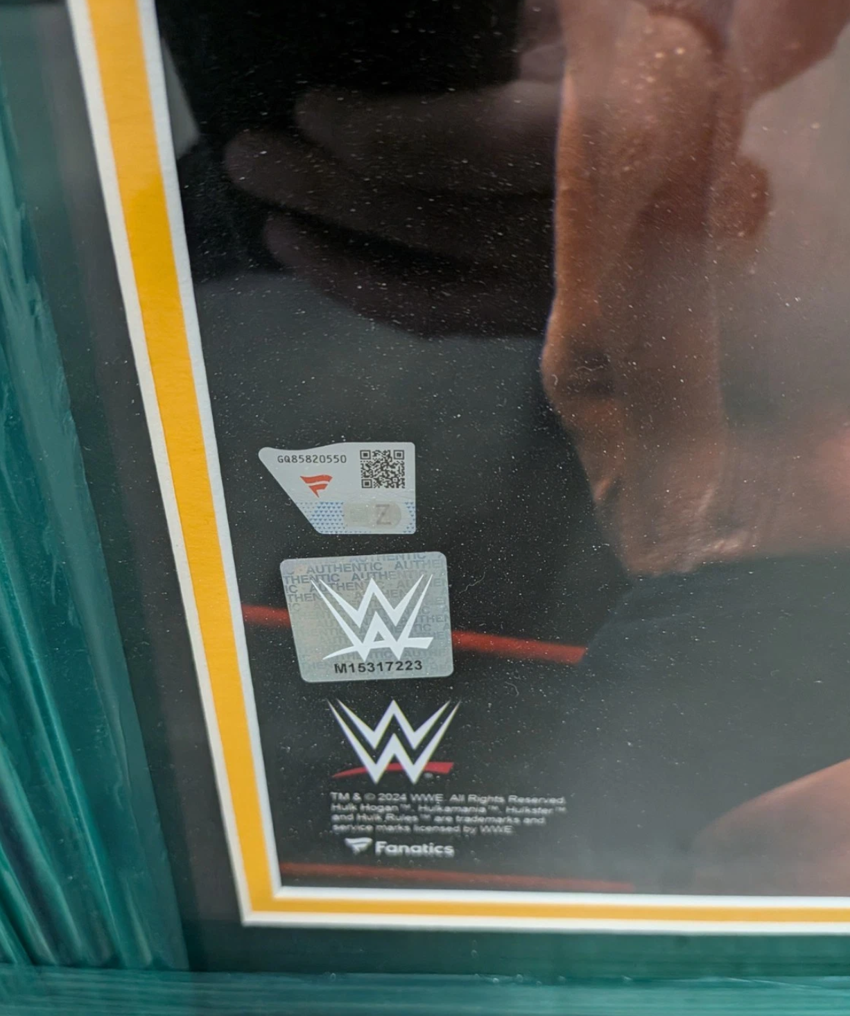 Stone Cold Steve Austin & Hulk Hogan WWE Dual Signed 16x20 Photo Framed Fanatics Rare