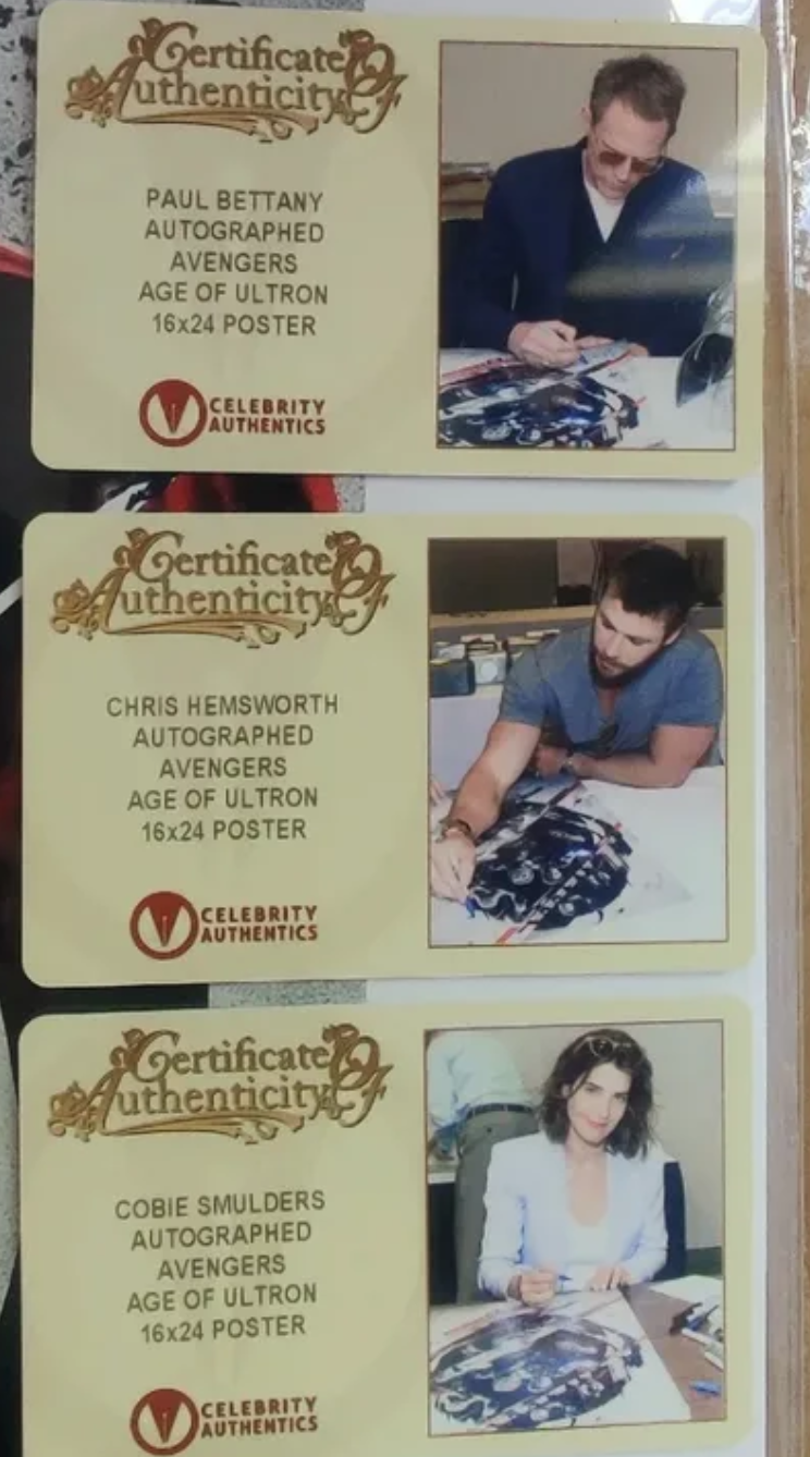 7x Signed Marvel Avengers: Age of Ultron 16x24 Poster! Chris Hemsworth, Chris Evans, Paul Bettany, Elizabeth Olsen, Cobie Smulders, Anthony Mackie and Jeremy Renner
