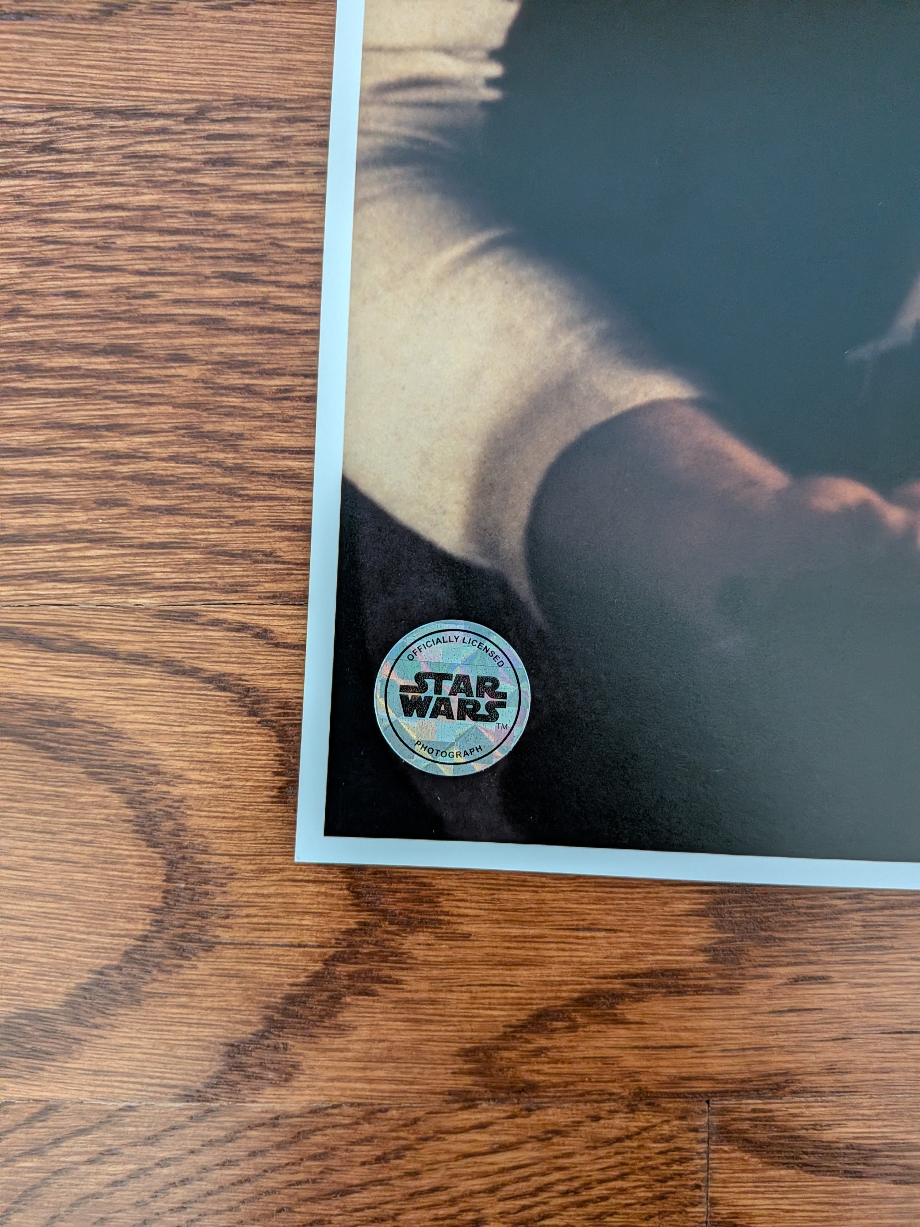 Harrison Ford Signed Han Solo 16x20 Photo – Beckett Witnessed Authentic Autograph | Star Wars Original Trilogy Memorabilia