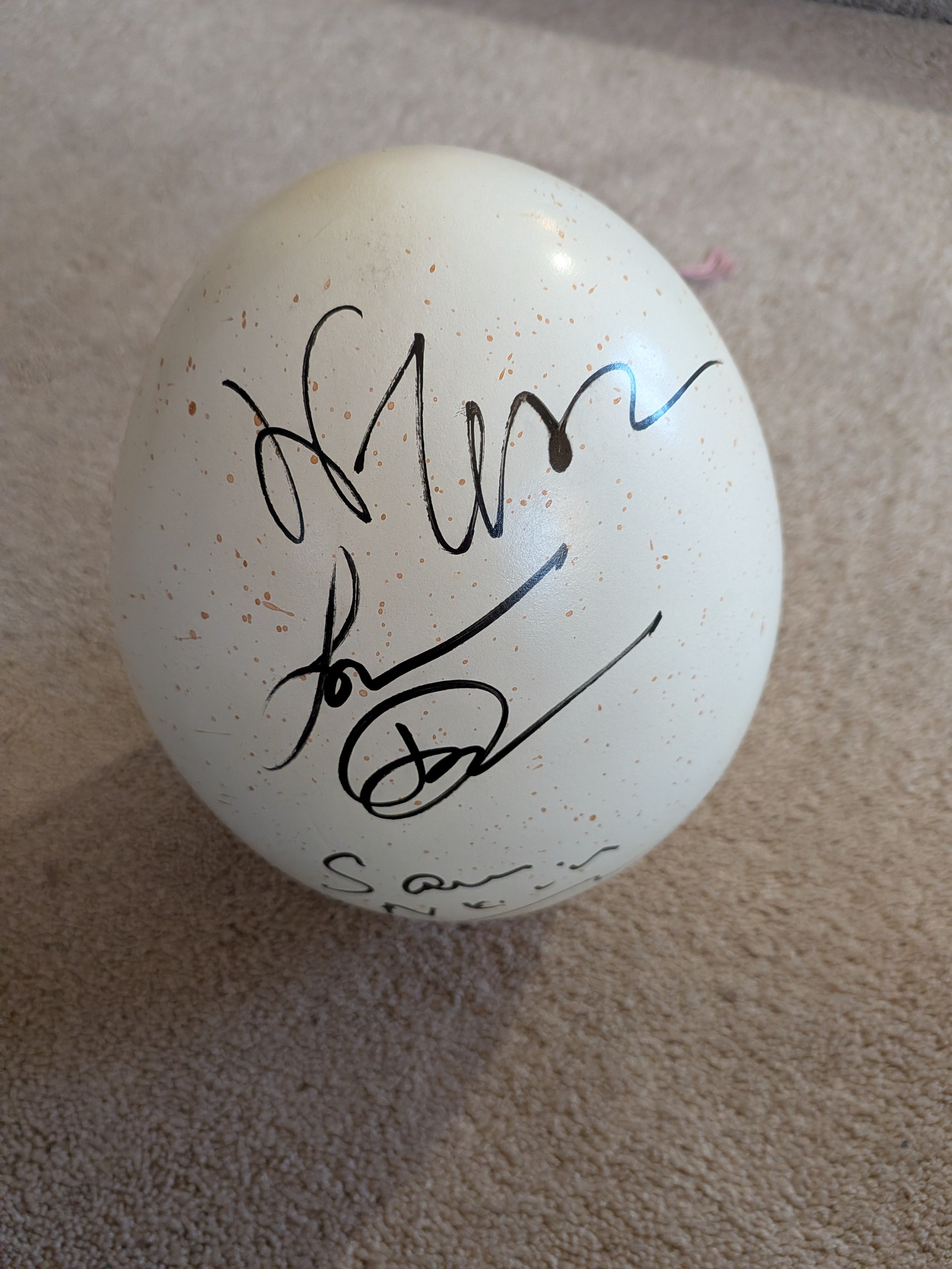 Sam Neill, Jeff Goldblum, Laura Dern Signed Jurassic Park Sauropod 9" Life Size Dinosaur Egg