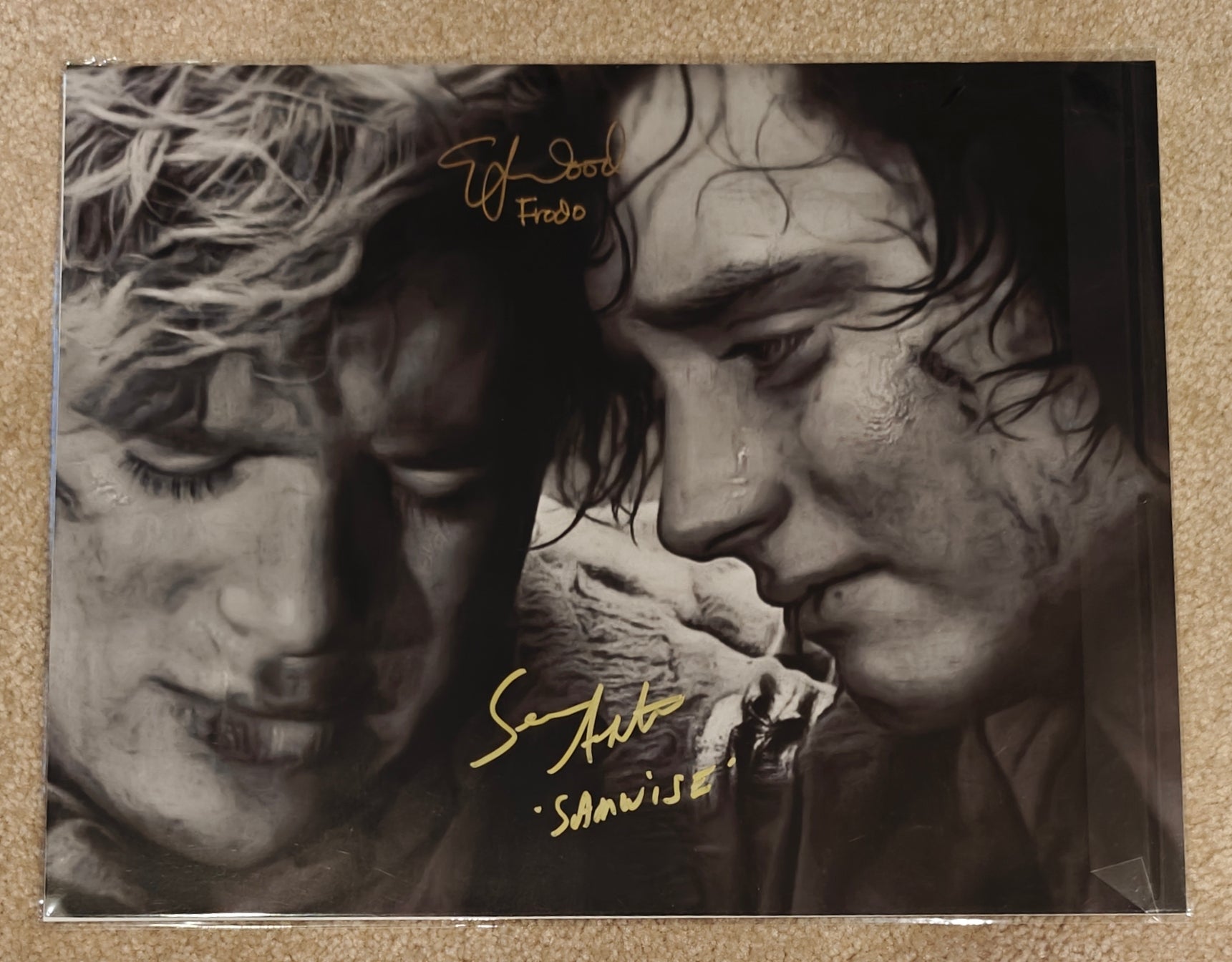 Elijah Wood and Sean Astin Frodo and Samwise Signed w. Character Name 11x14 Photo from Lord of the Rings (SWAU)