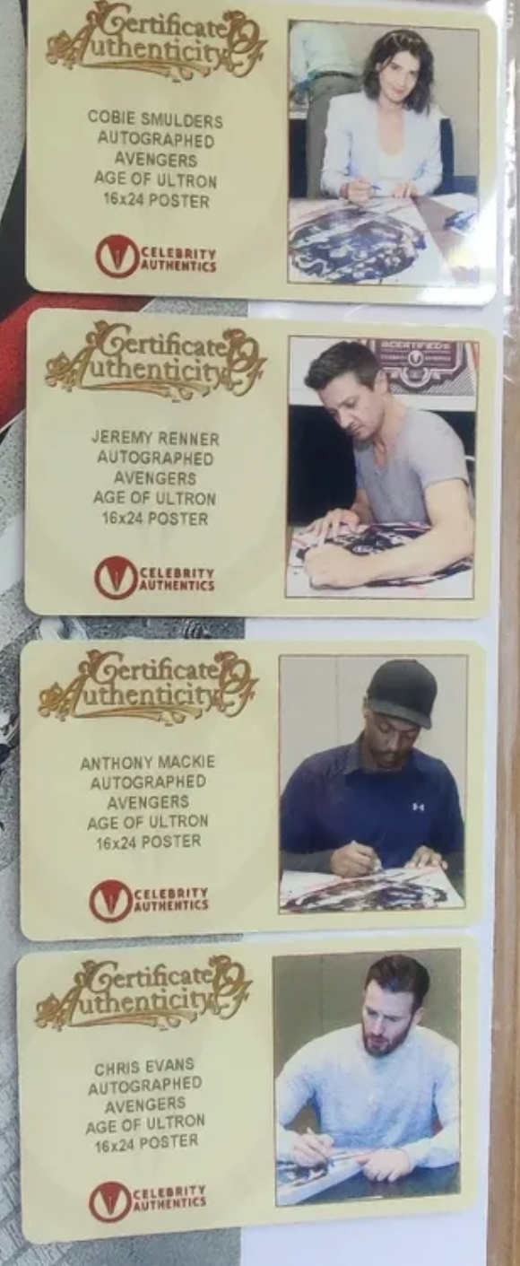 7x Signed Marvel Avengers: Age of Ultron 16x24 Poster! Chris Hemsworth, Chris Evans, Paul Bettany, Elizabeth Olsen, Cobie Smulders, Anthony Mackie and Jeremy Renner