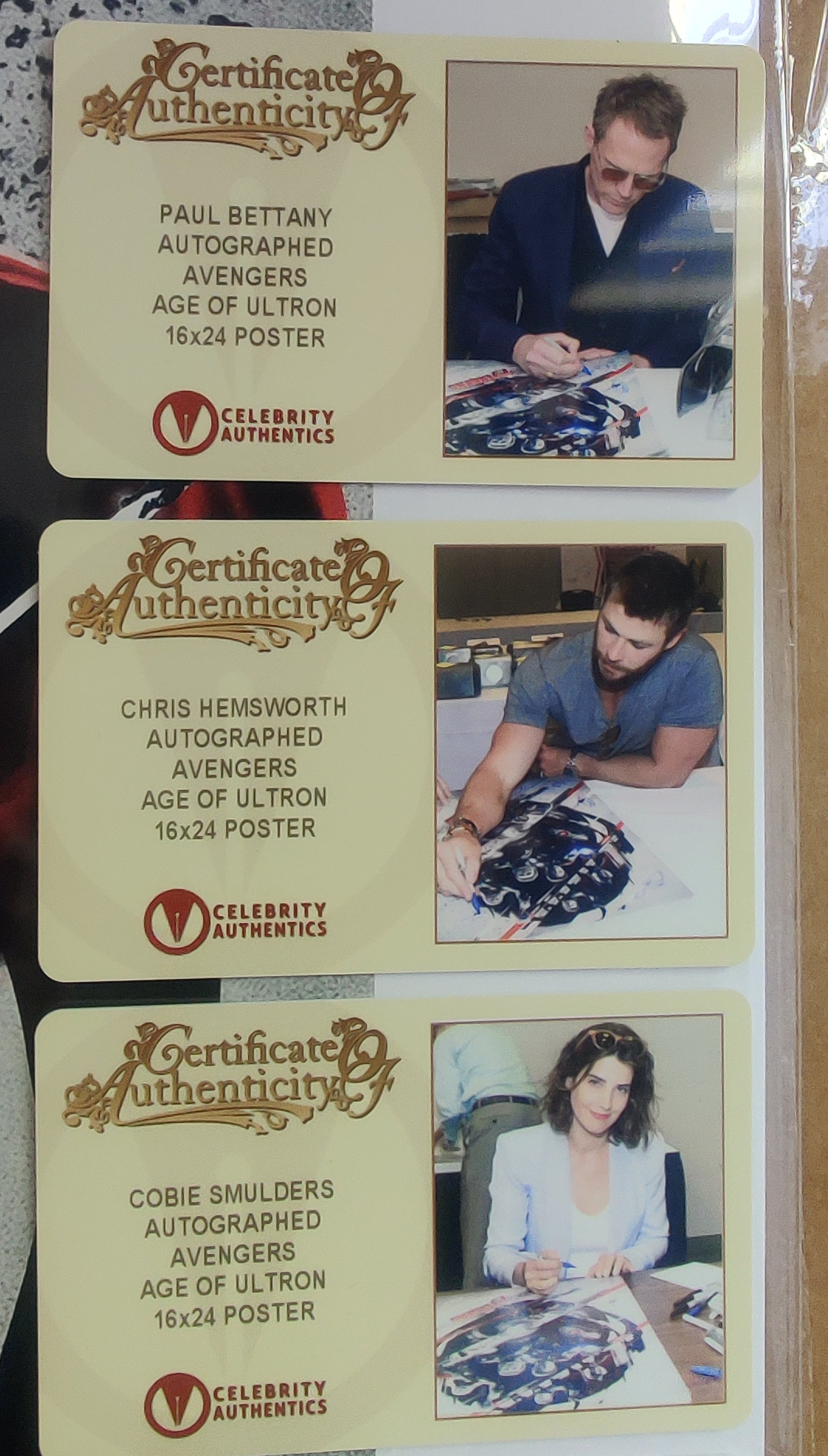6x Cast Signed Marvel Avengers: Age of Ultron - 16x24 Poster: Chris Hemsworth, Chris Evans, Paul Bettany, Cobie Smulders, Anthony Mackie and Jeremy Renner